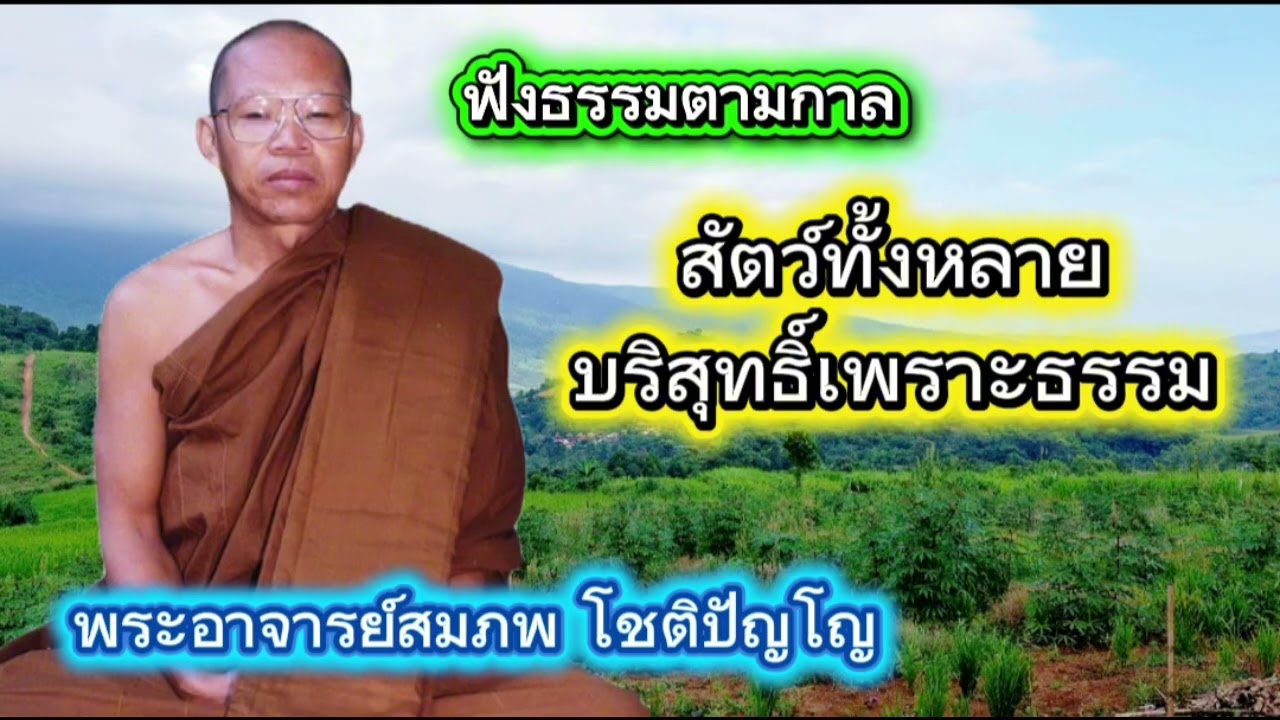 #สัตว์ทั้งหลายบริสุทธิ์#พระธรรมพระอาจารย์สมภพโชติปัญโญ