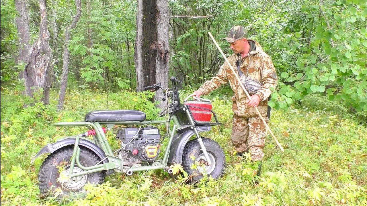 ПОШЁЛ В ЛЕС ЗА ГРИБАМИ, А НАШЁЛ СОВСЕМ НЕ ТО ЧТО ОЖИДАЛ / ТИХАЯ ОХОТА В ТАЙГЕ. МОТОВЕЗДЕХОД SR-21.