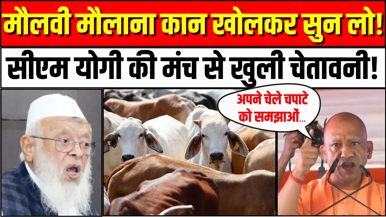 CM Yogi on Maulana: मौलानाओं पर भड़के CM योगी | Cow National Animal | Ghaziabad Surya Murder Case