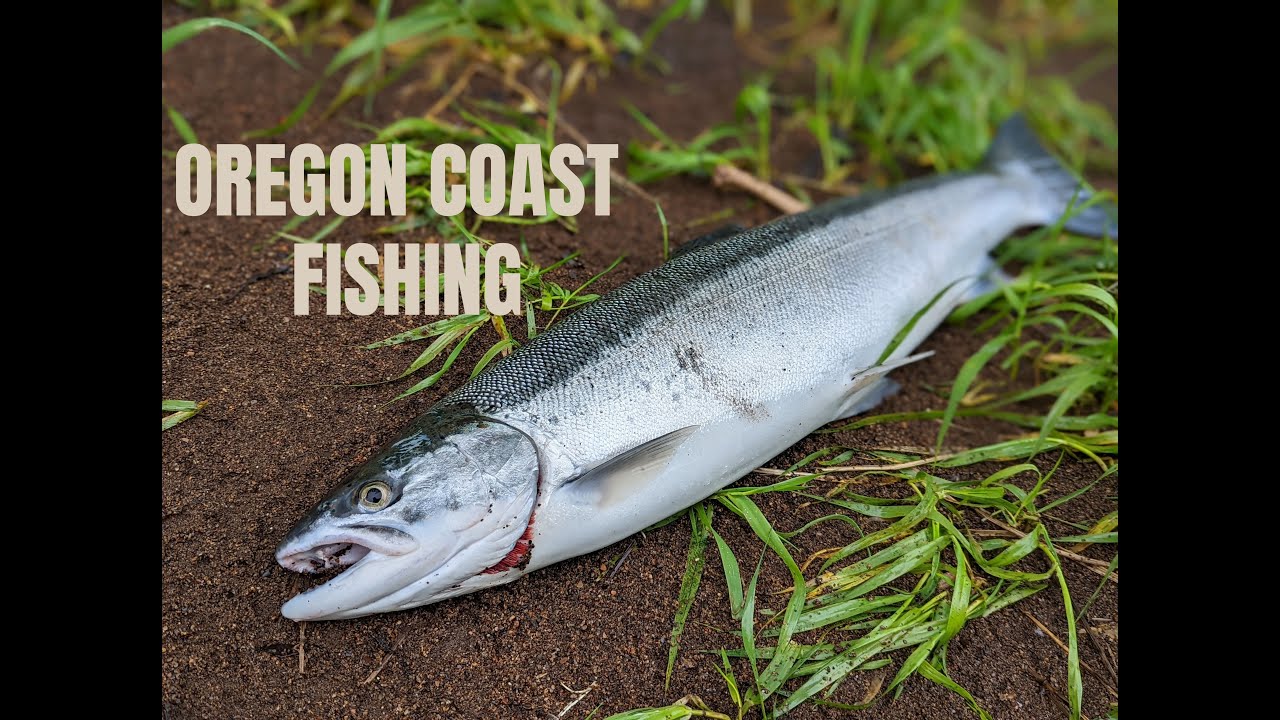 Salmon & Steelhead fishing on the Oregon Coast. BOBBER DOWN!