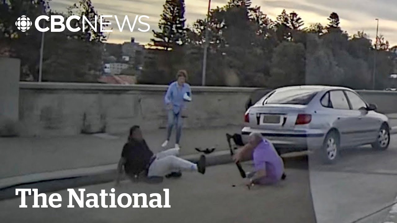 Several Bondi Beach shooting victims fought attackers