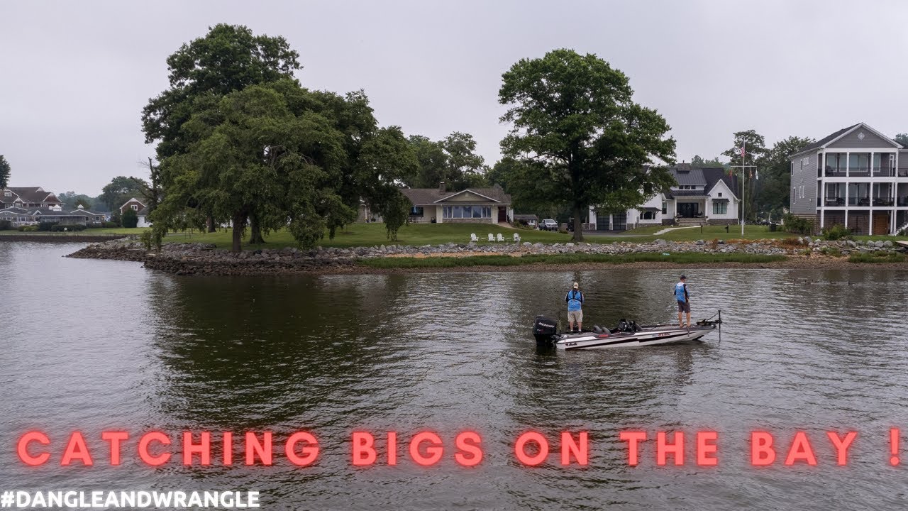 Catching BIG Fish on the Upper Chesapeake Bay - Chester County Bassmaster Open !