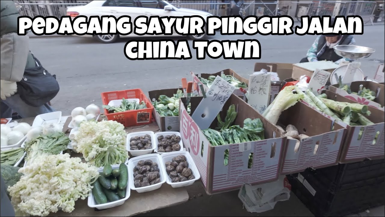 KEHIDUPAN IMIGRAN DI CHINATOWN NEW YORK