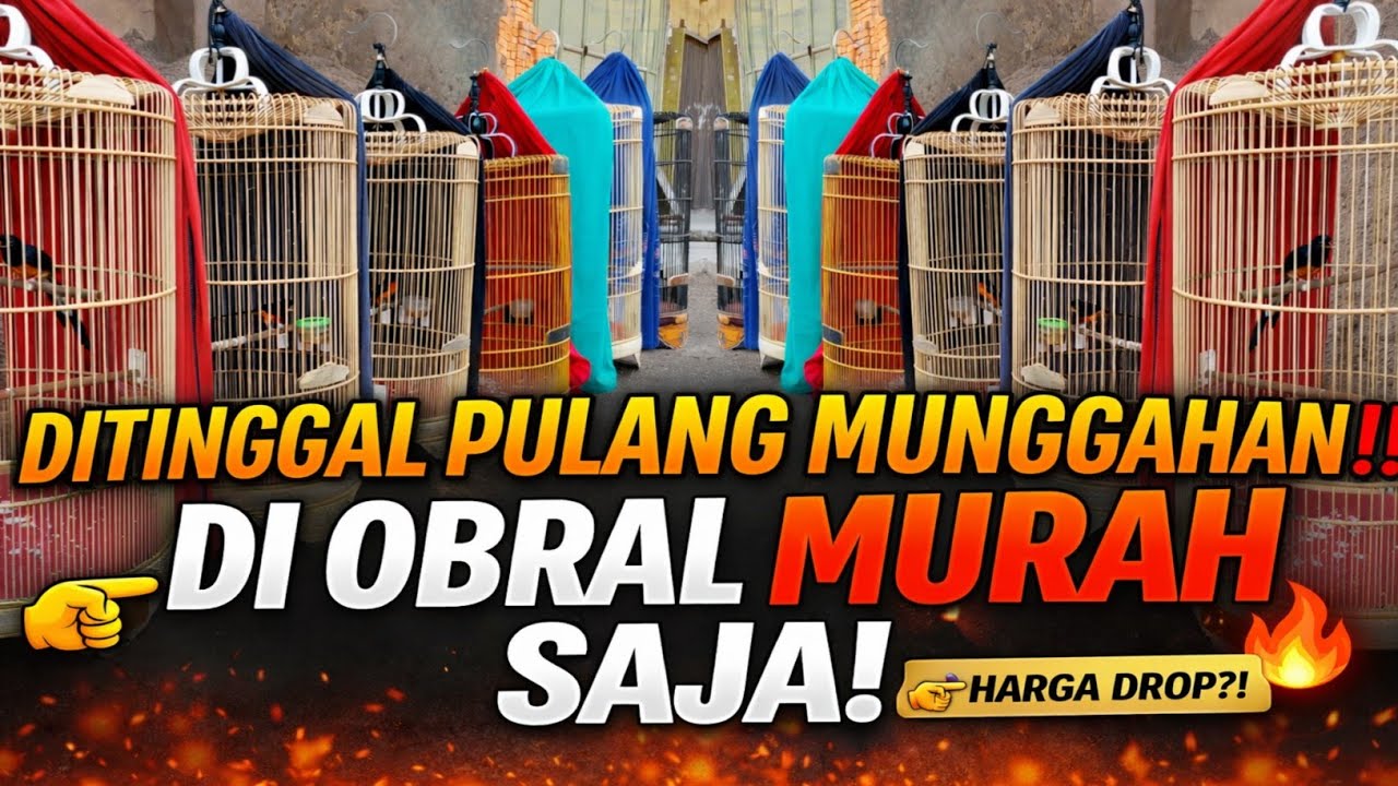 GARA-GARA DITINGGAL PULANG MUNGGAHAN! 😱 AKHIRNYA DI OBRAL MURAH