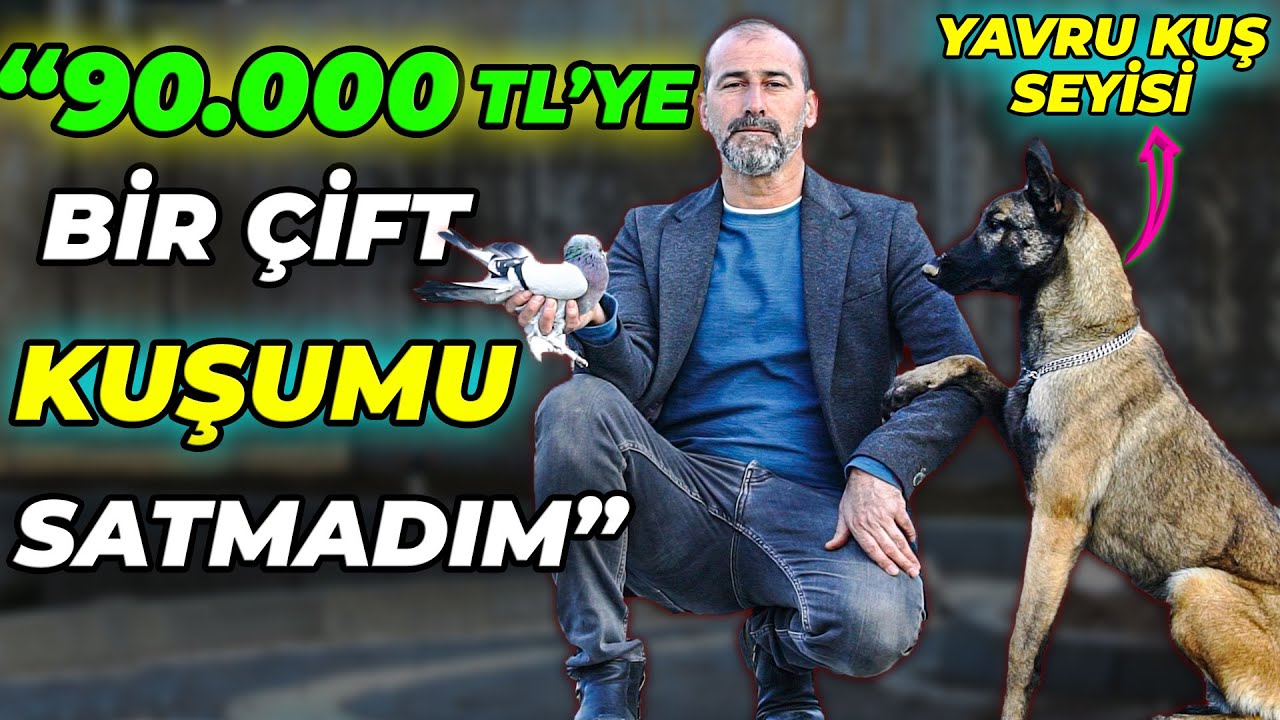 “Kuşun Yavrularından 200.000 TL Kazandım” Basri Akça Kümes Ziyareti ve Kuş Uçumu