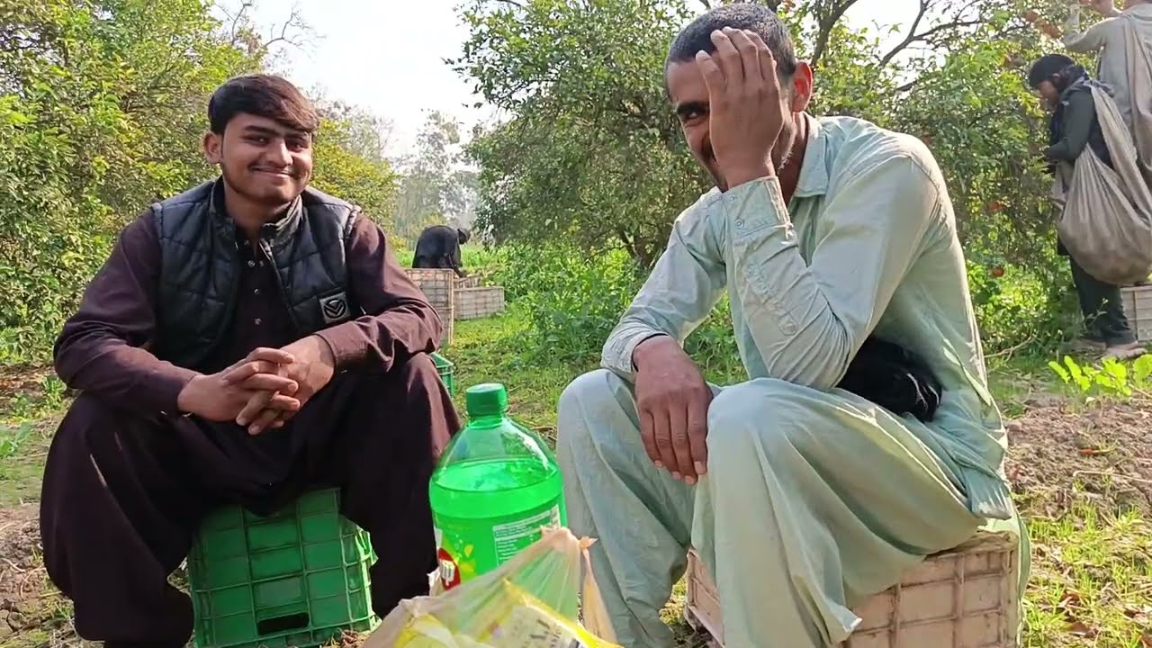 Sargodha ka Malda taiyar