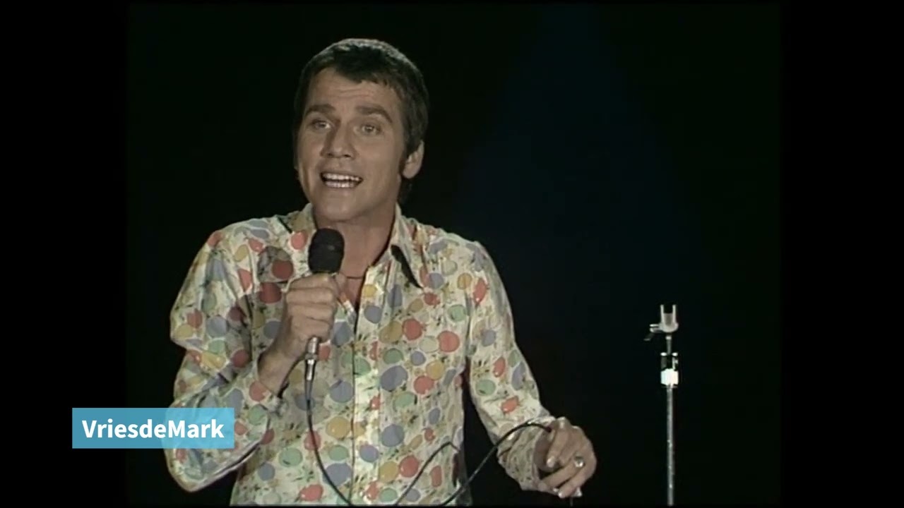 Willem Nijholt - Niet goed bij d'r verstand