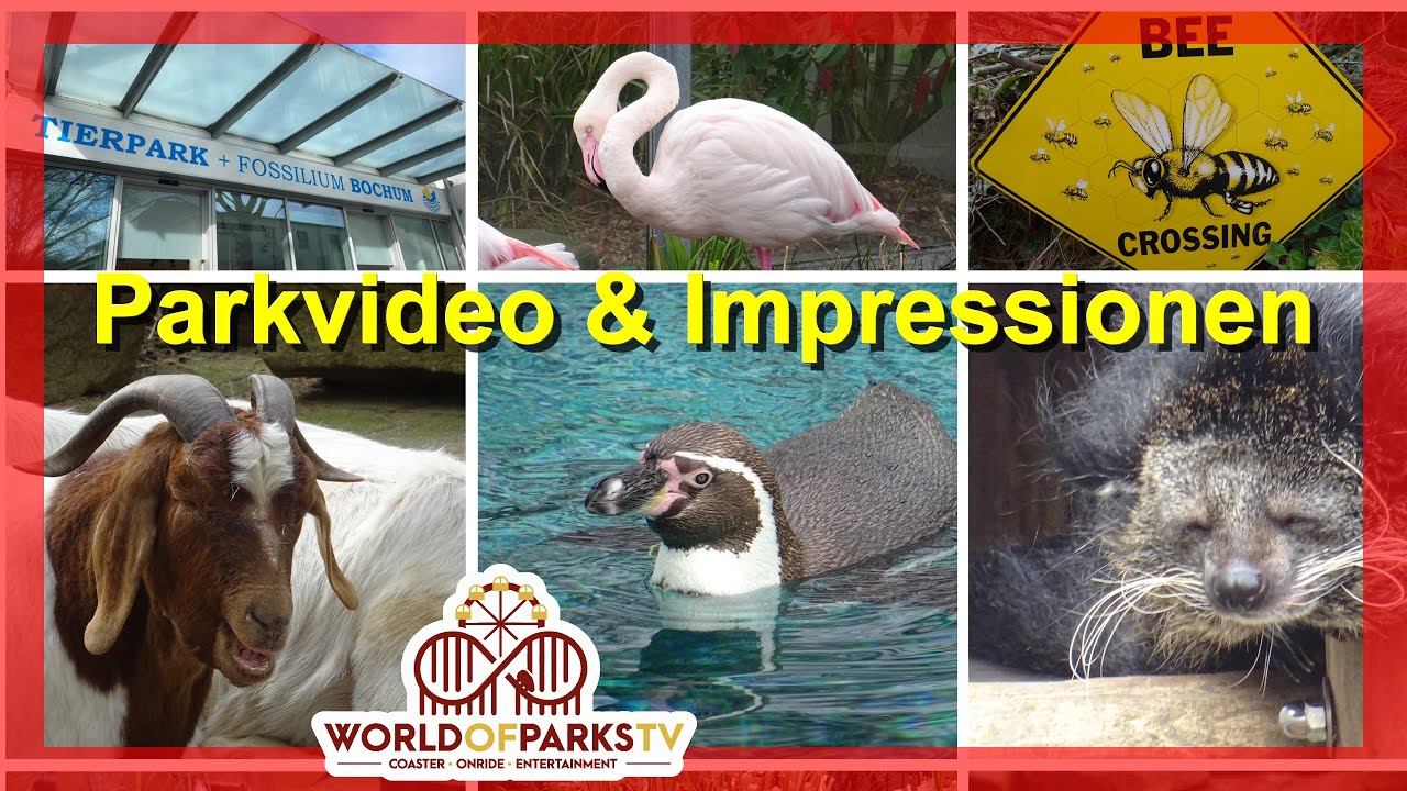 Tierpark Bochum 2021 (Zoo) Parkvideo & Impressionen Tiere & Attraktionen Tierpark & Fossilium Bochum