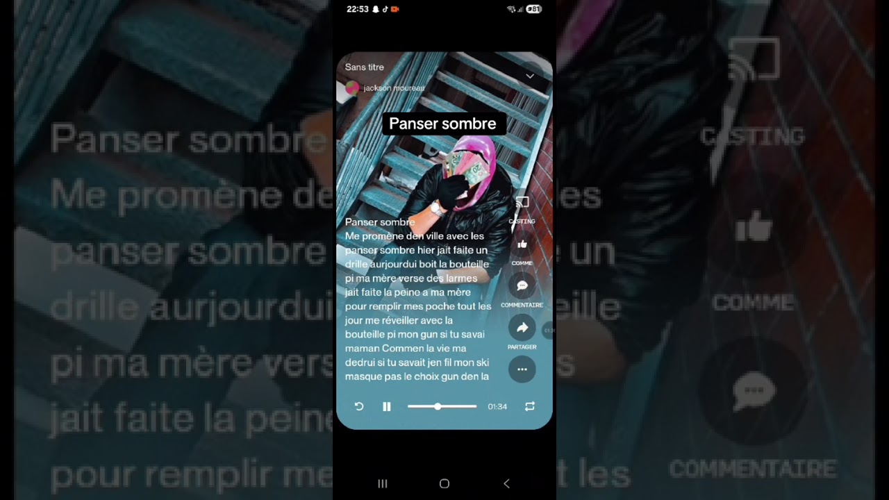 Panser sombre
