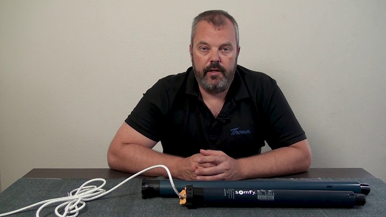 Somfy RS100 IO и Somfy Oximo IO – сравнение