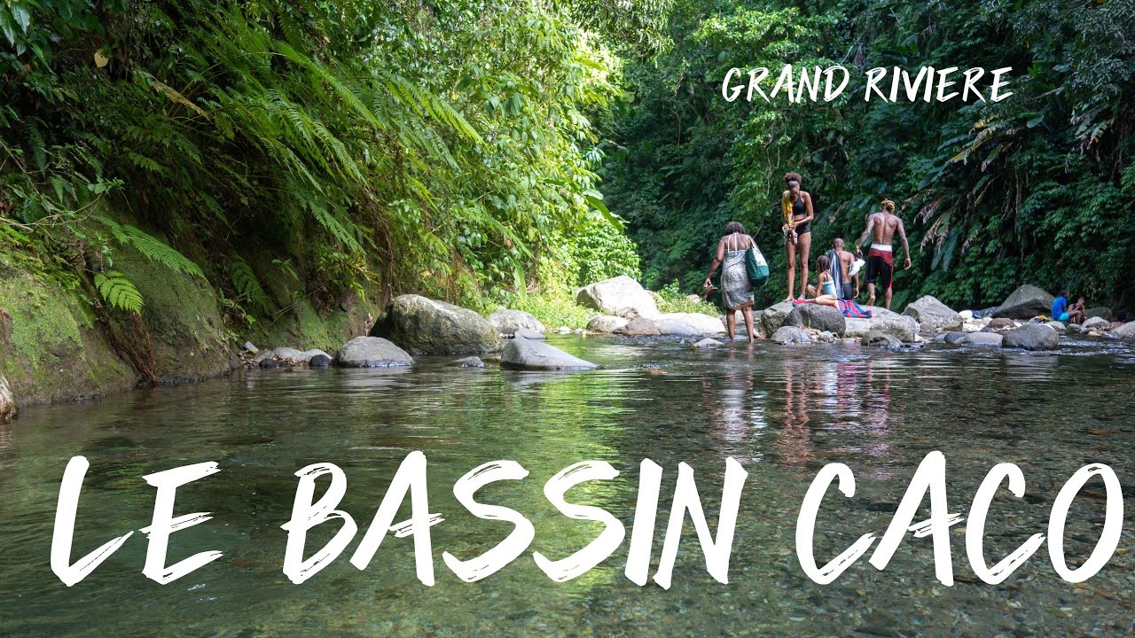 Le Bassin de Caco à Grand'Rivière en Martinique