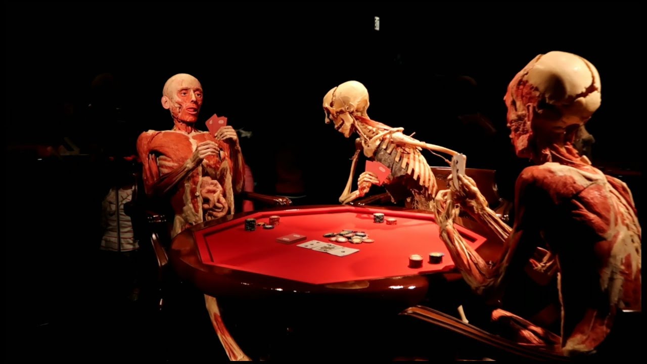 BODY WORLDS Exhibit | Art Made From Real Human Bodies