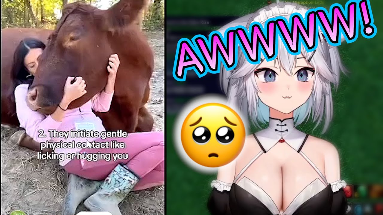 Vei Reacts to Cow Youtube Shorts