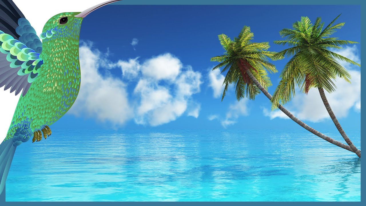 Relaxing Video – Sound of Ocean Good for Meditation, Stress Relief, Work and Sleep under Palm Trees