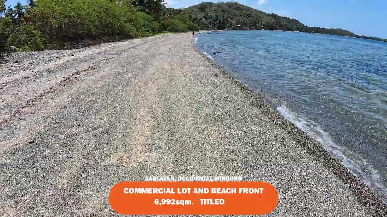 🌊 Crystal-Clear Waters & Coconut Paradise | Beachfront Property for Sale in Mindoro