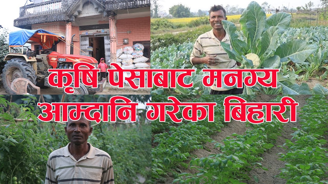 कृषि पेसा गरी तीन घडेरी जाेडेका माडीका एक सफल कृषक