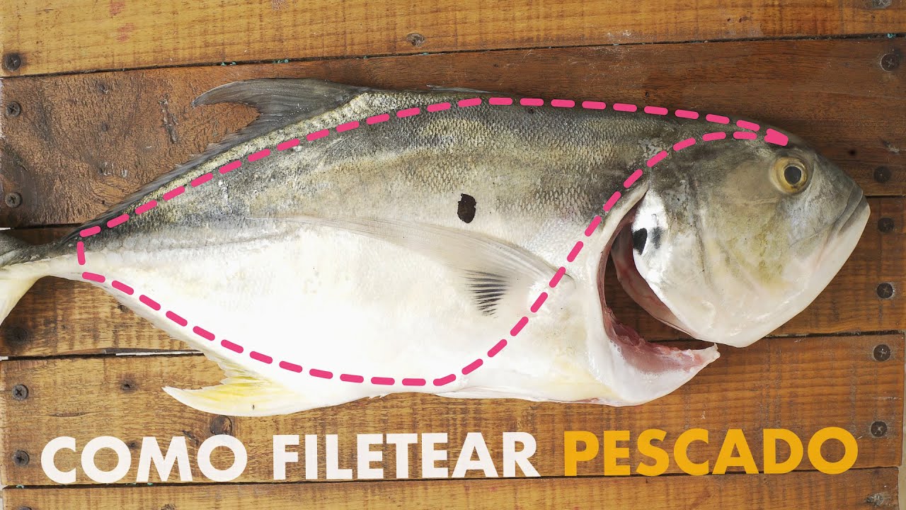 PESCA Y COCINALO: COMO SACAR FILETES del PESCADO!