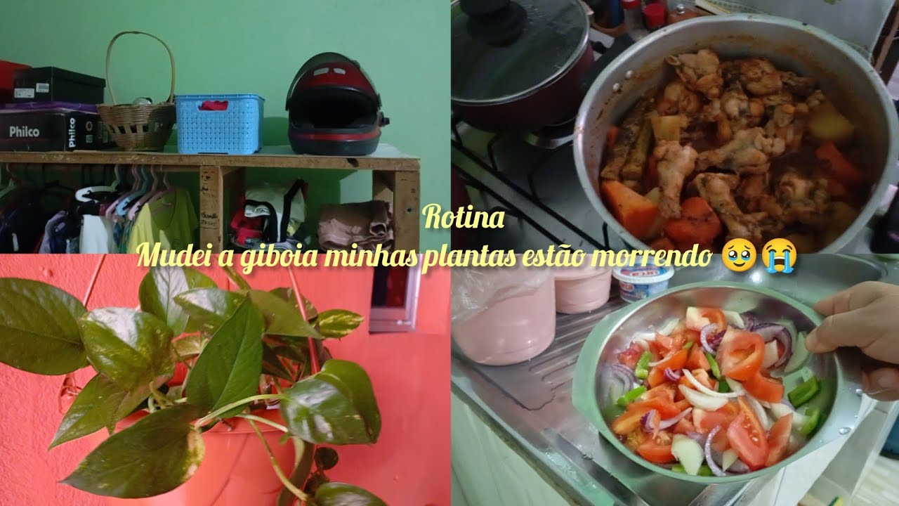 Rotina 🧹| limpando o Quadra roupa da minha filha filha almoço e mudei a planta jibóia 