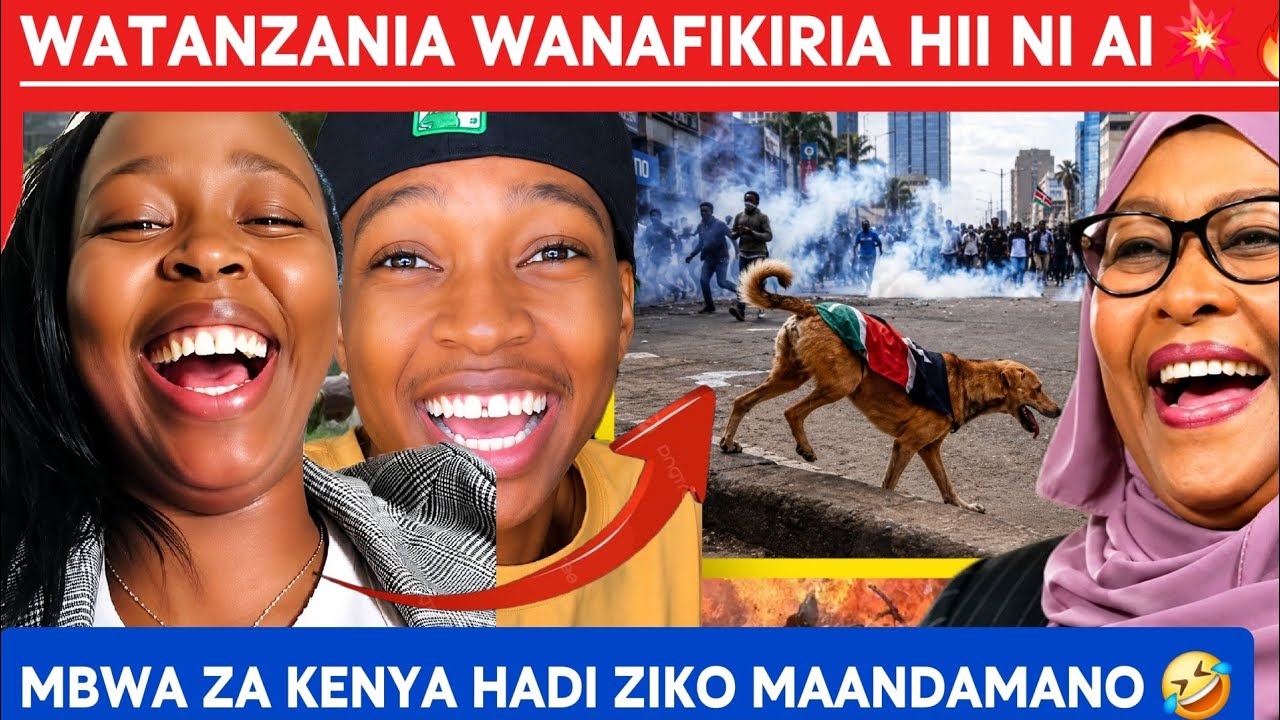 🔥💥WAKENYA JAMANI 🤣TANZANIA,NIGERIA AND UGANDA REACTION TO KENYA GEN Z PROTEST 