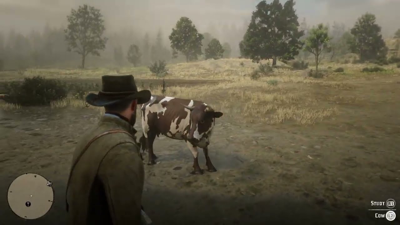 Red Dead Redemption 2