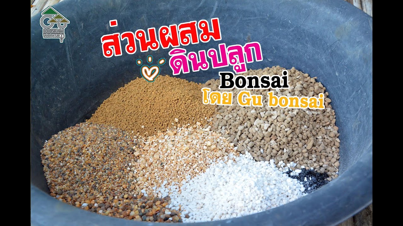 Gu Bonsai Workshop : ส่วนผสมดินปลูก บอนไซ โดย GU BONSAI