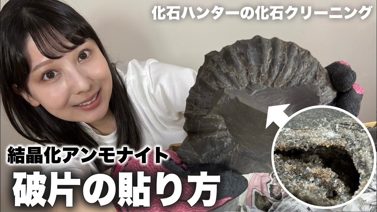 【初心者必見】結晶化したアンモナイト化石の破片をつなぐ貼り方！