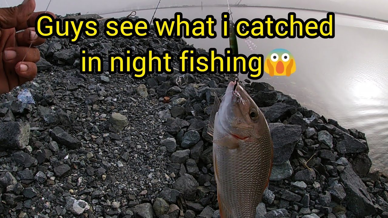 guys see what i catched in night fishing 😱🎣 ras al khaimah 🆕 location 👌|khorfakkan|
