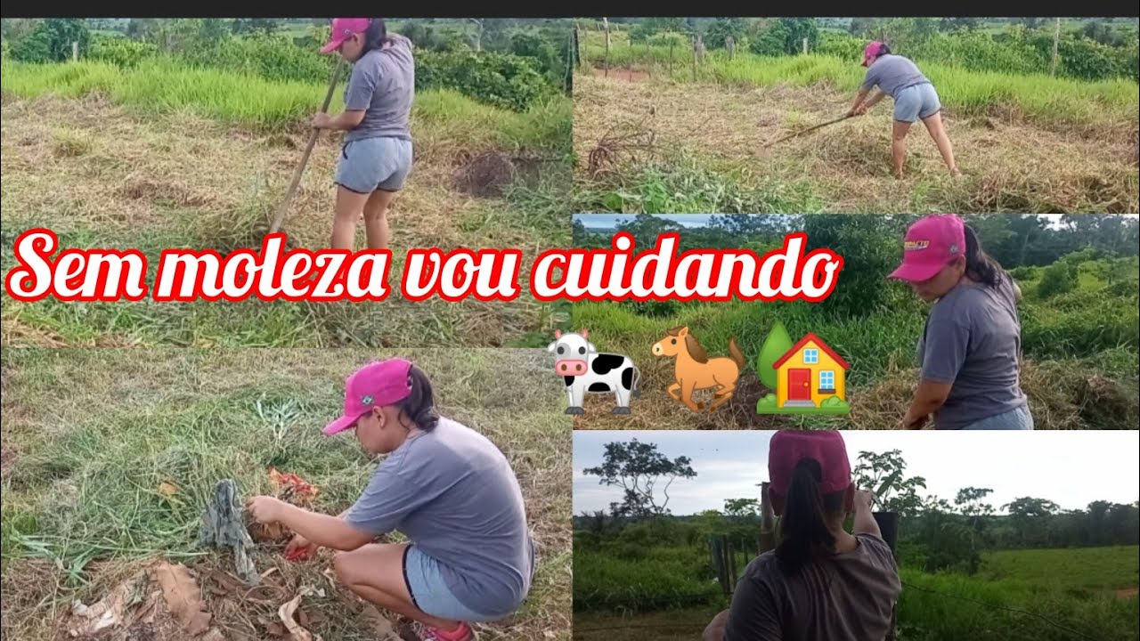 na roça o serviço não acaba/transformando meu lugar 
