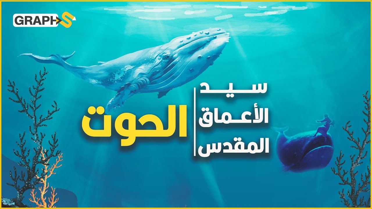 الحوت الأزرق .. عجائب خلقه لا تصدَّق .. الحيوان المقدس الذي أنقذ يونس عليه السلام فلقبه الله باسمه