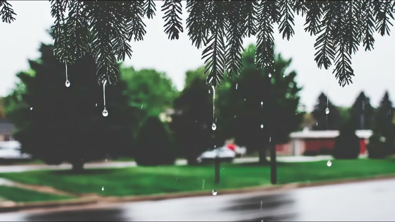 Lord Winter - Drizzle