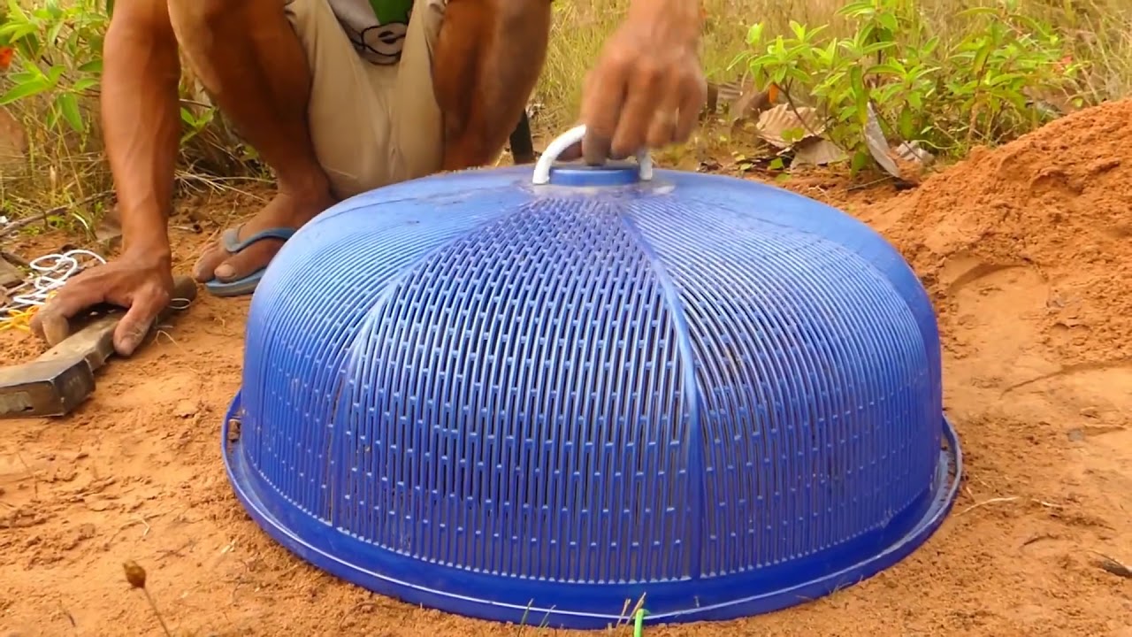 Primitive Technology  Easy Deep Hole Underground Python Snake Trap Using Blue Basket Work 100%