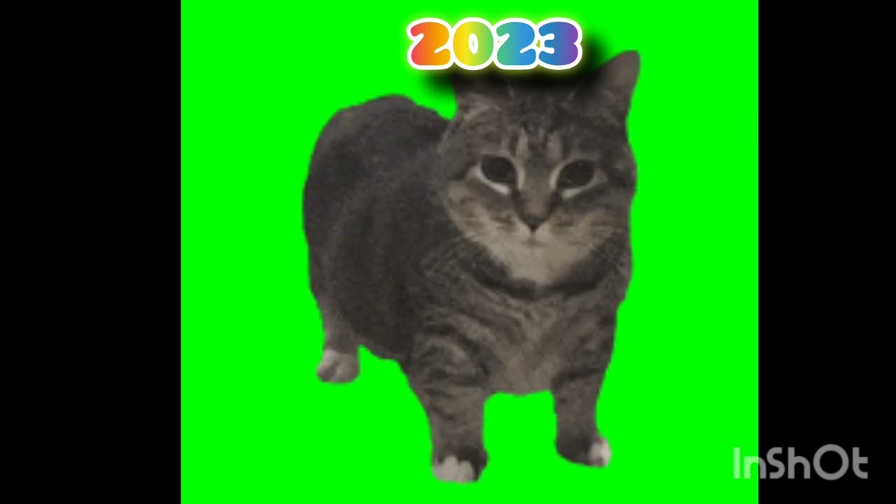 Oiia oiia 2023 tot 2989999999999999999888899989999999999999