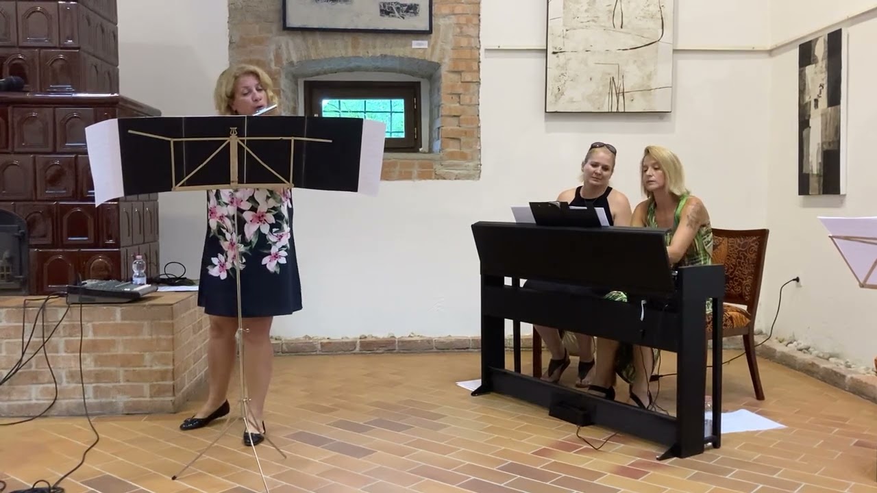 Szab&oacute; Gabriella Eszter: &ldquo;Abszurd&rdquo; : 1. B&ouml;h&ouml;nyei stop t&aacute;bla 2. Fő&uacute;ton meg-meg&aacute;llva 3. Gyorshajt&aacute;s