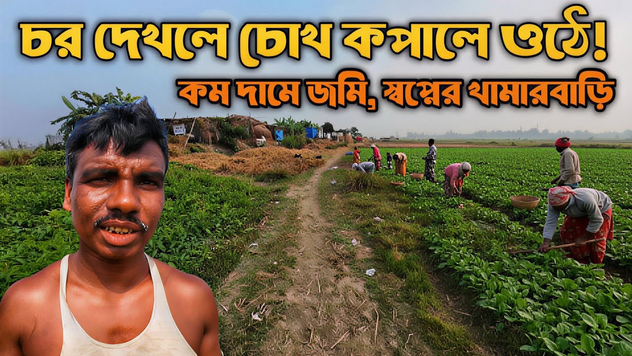 চর দেখলে চোখ কপালে ওঠে! কম দামে জমি, স্বপ্নের খামারবাড়ি ও অগাধ সম্ভাবনা