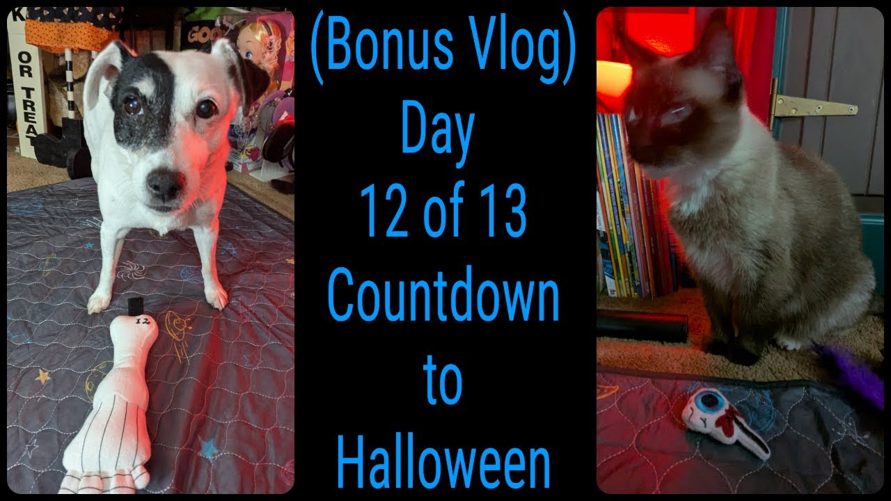 (Bonus Vlog) Day 12 of 13 Countdown to Halloween