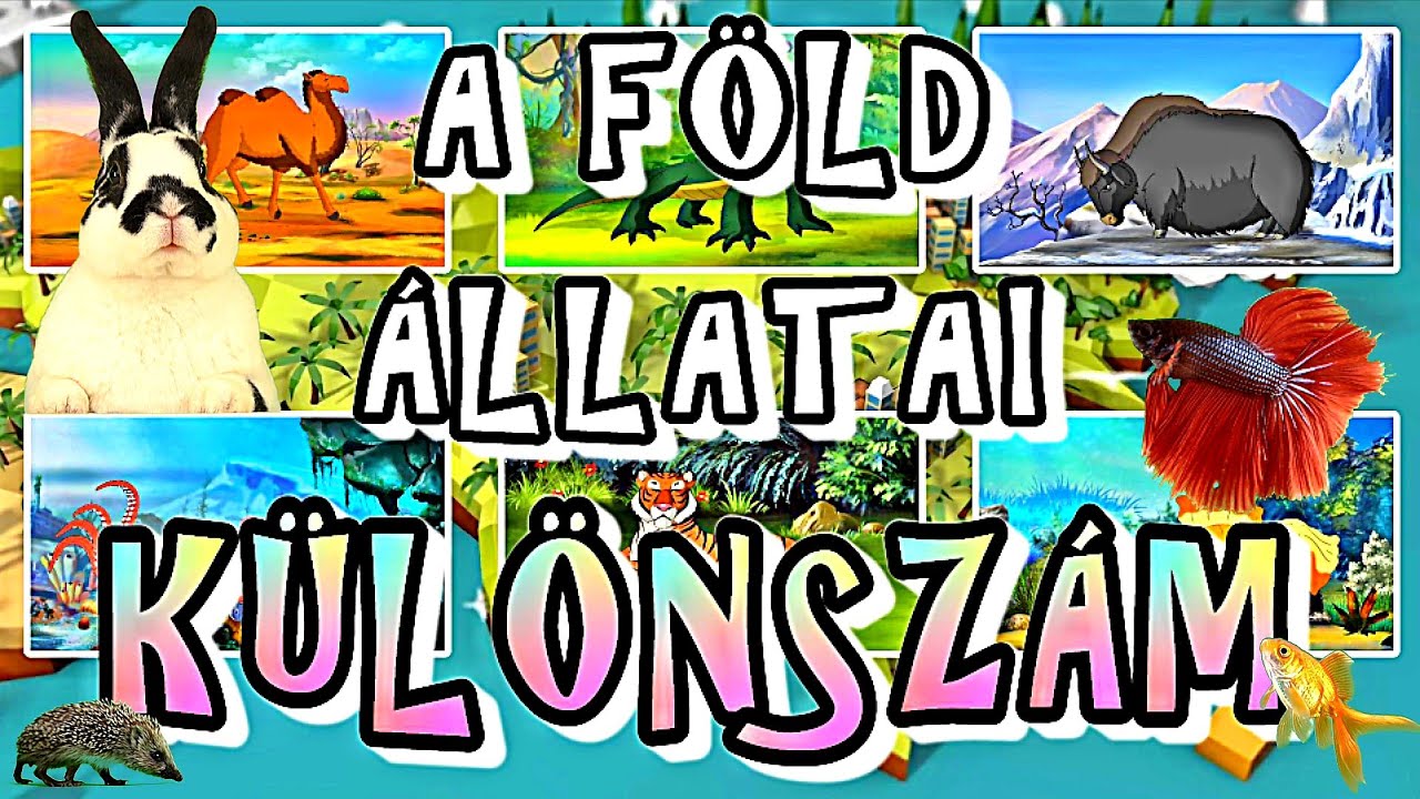 A FÖLD ÁLLATAI - KÜLÖNSZÁM | Állatok gyerekeknek | Ismeretterjesztő film | Természetfilm