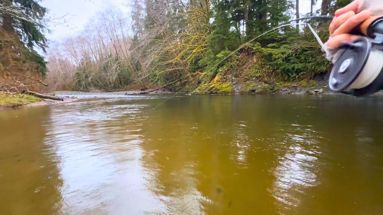 The Last Cast of the Day… Giant Steelhead