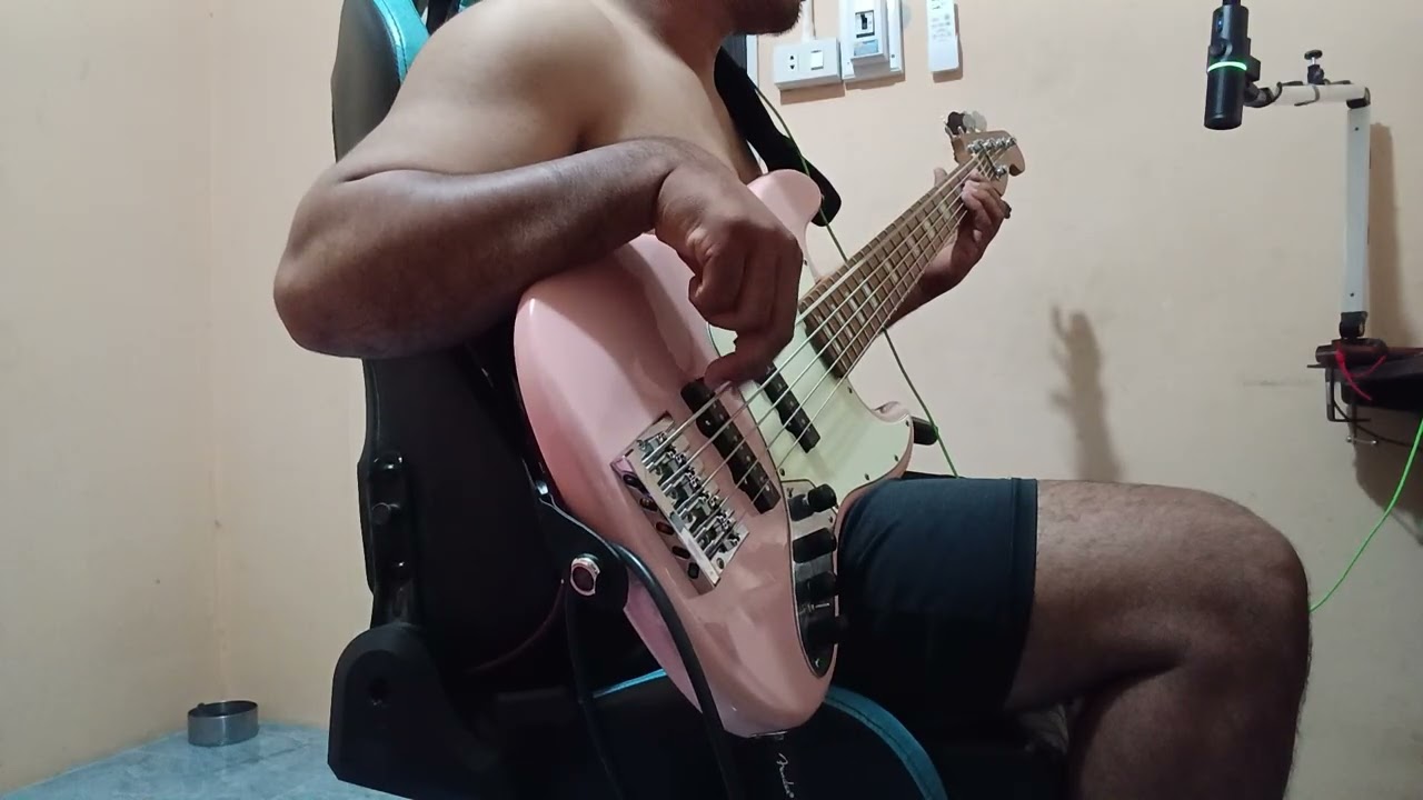 คนไม่เอาถ่าน - Big Ass  [ Bass Cover ]