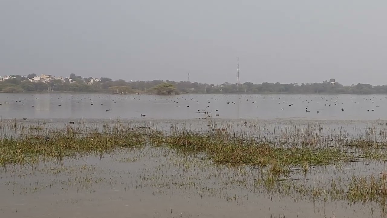 Menar Ramsar Site