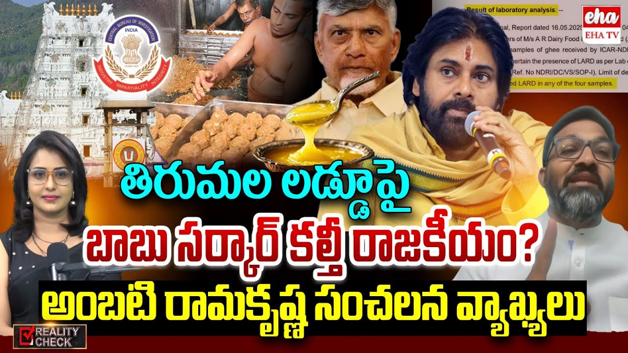 Congress Ambati Ramakrishna On Tirumala Adulterated Ghee Issue | Chandrababu | Pawan Kalyan | EHA TV
