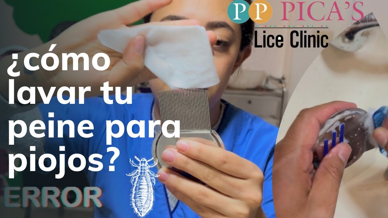 ¿Cómo lavar 🧼 tu peine para PIOJOS? 🧽/ pp pica's®