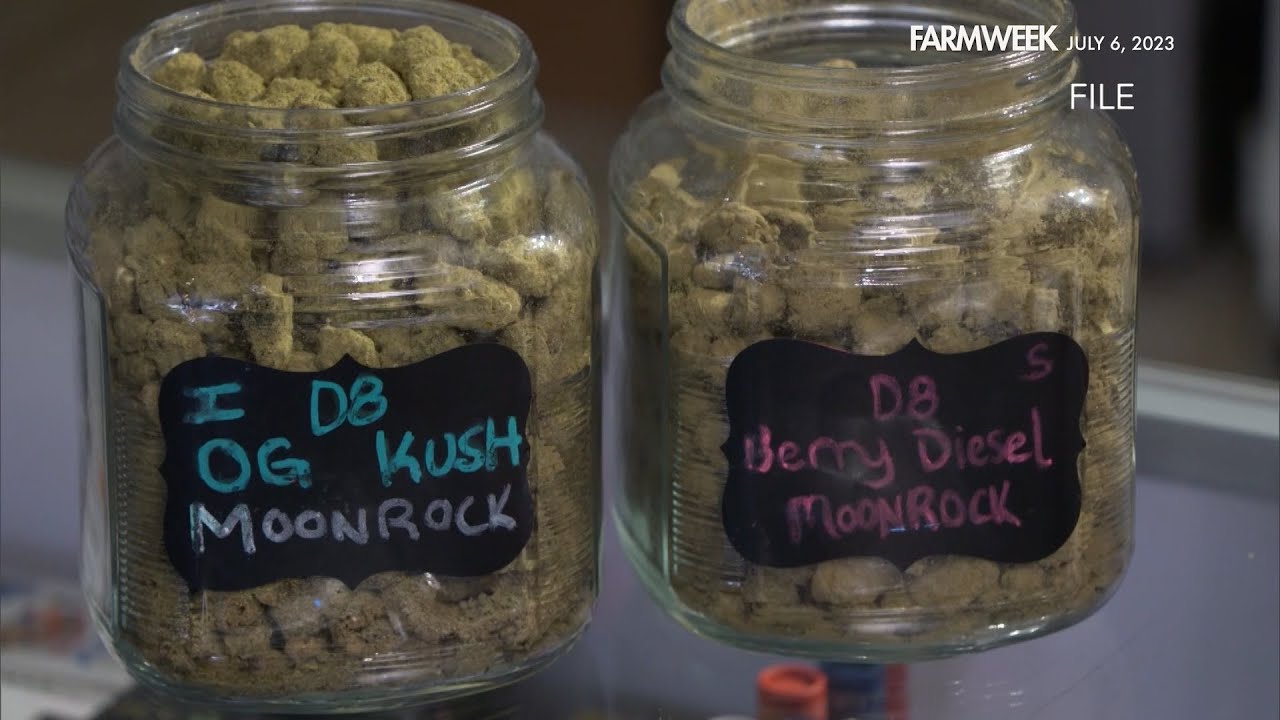 Farmweek | Cannabis vs the Farm Bill | July 6, 2023