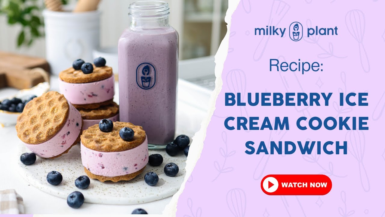 Blueberry Ice Cream Sandwich Recipe | Easy Homemade Summer Dessert 🫐🍦