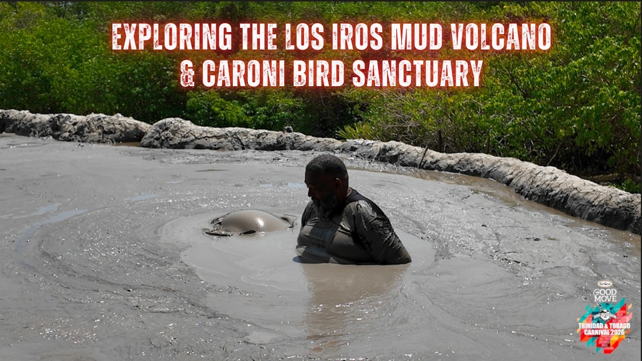 Exploring The Mud Volcano and Bird Sanctuary in Trinidad with Brown Girl Tours