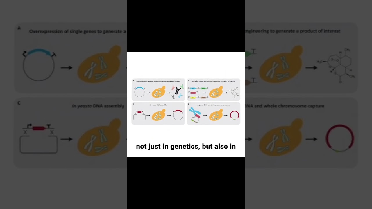 Biomolecules Made Easy | Complete NCERT Guide &ndash; Carbs, Proteins, Enzymes & Nucleic Acids | NEET