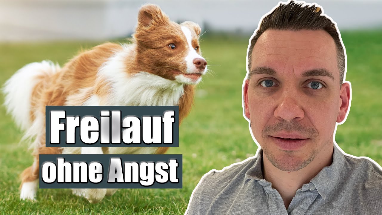 5 Fehler beim R&uuml;ckruf, die du unbedingt vermeiden musst!