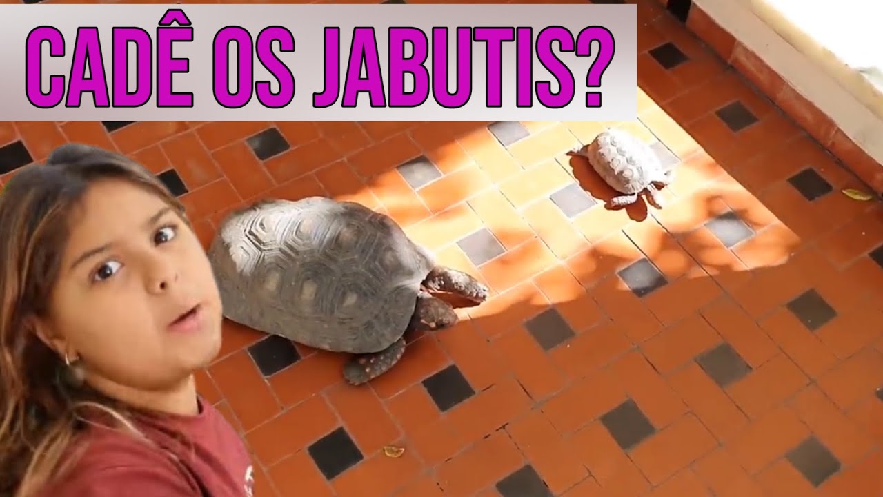 Cadê os Jabutis?
