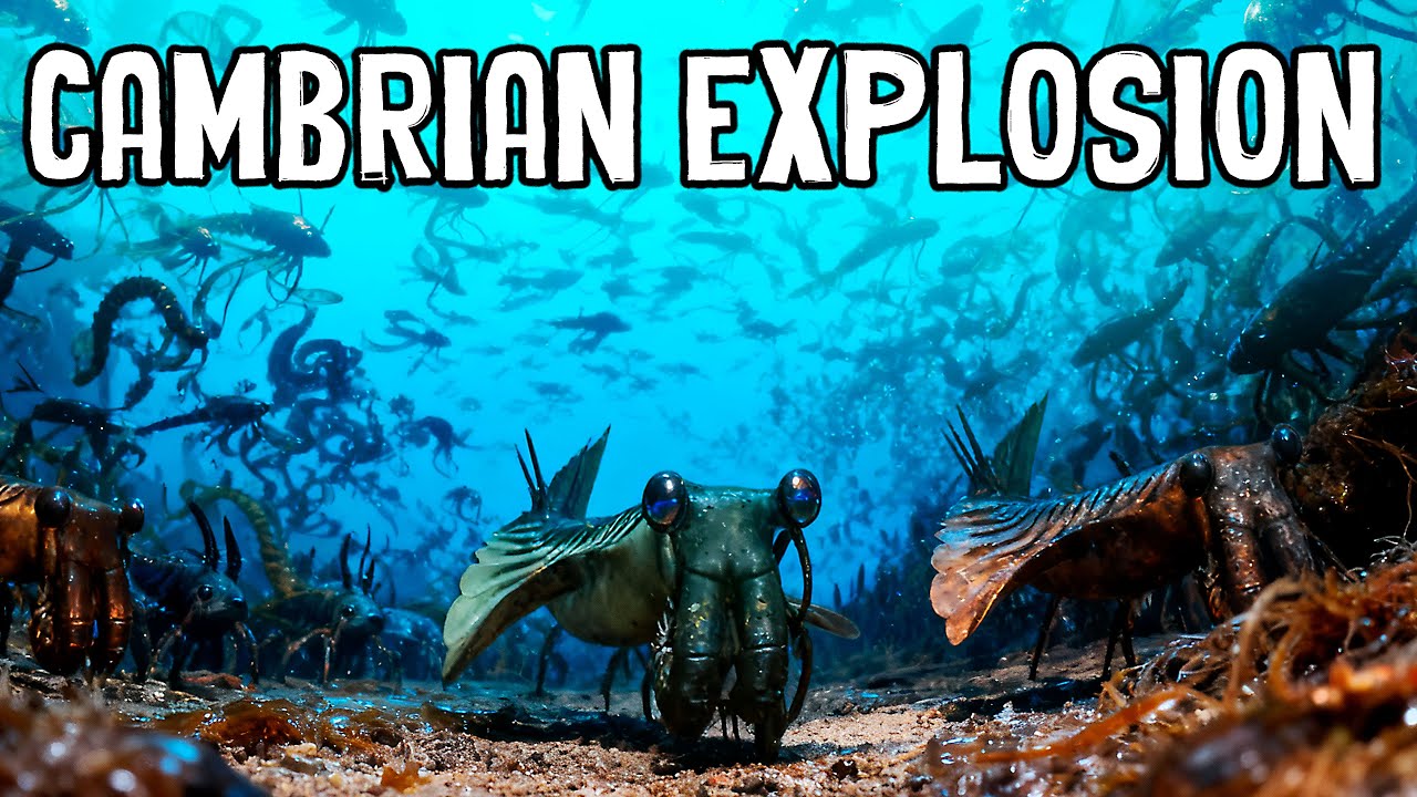 What Caused The Beginning Of Complex Life