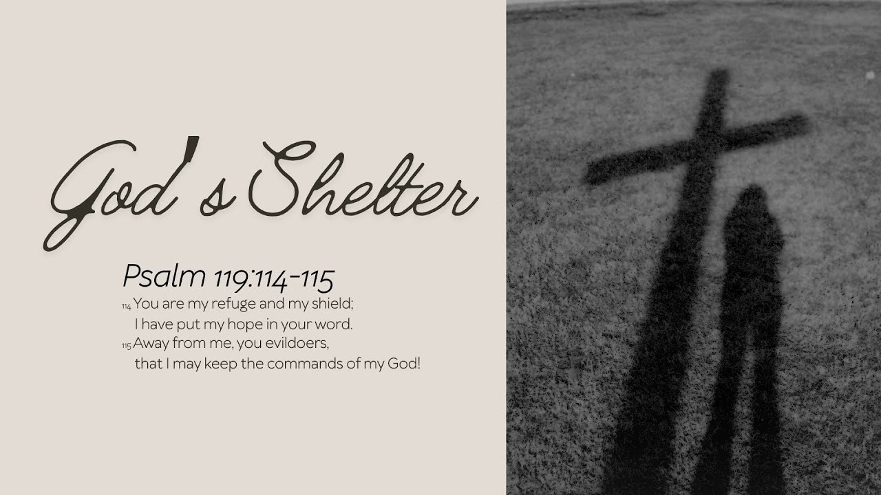 Psalm 119:114-115 | God's Shelter | Daily Bible Study