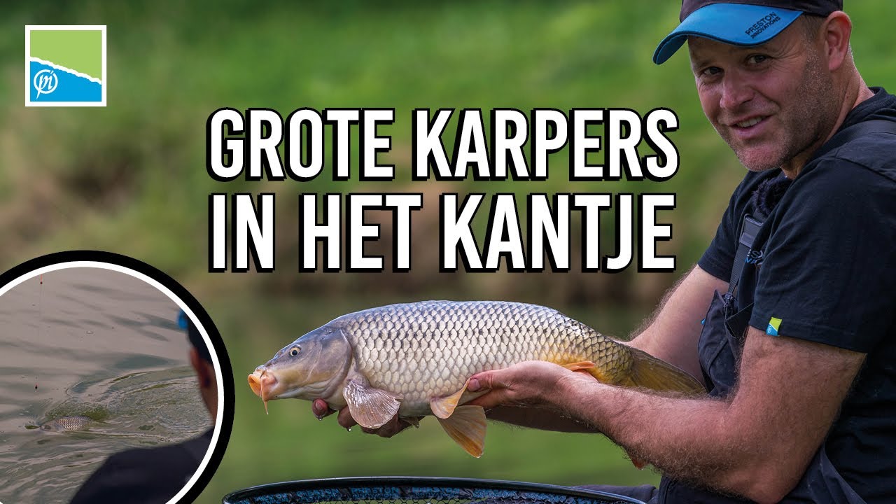 GROTE KARPERS IN HET KANTJE |  Peter Urscheler